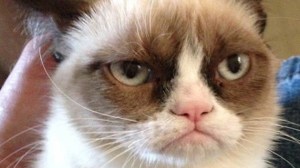 cat5